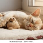 2017年度开奖直播全程精彩回顾 817pj2hgp