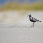 2017年广东省联赛精彩对决全程直播 i059ah19