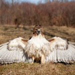 2017年乒坛巅峰对决热身赛全程高清直播 myn1u7nis