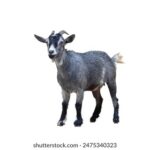 3d开奖结果开奖号码346今日最新公布,完整版数据详情速看 o333h6